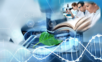Teacher Research Journal
