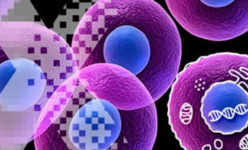 Journal of Applied Molecular Cell Biology